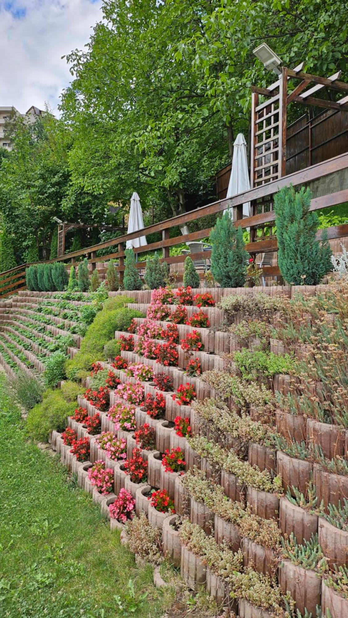 Matei Residence Brasov Luaran gambar