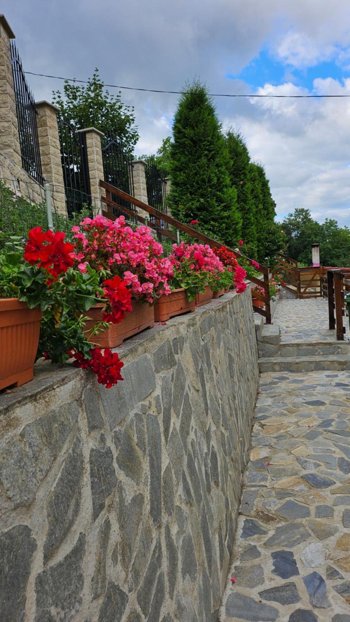 Matei Residence Brasov Luaran gambar