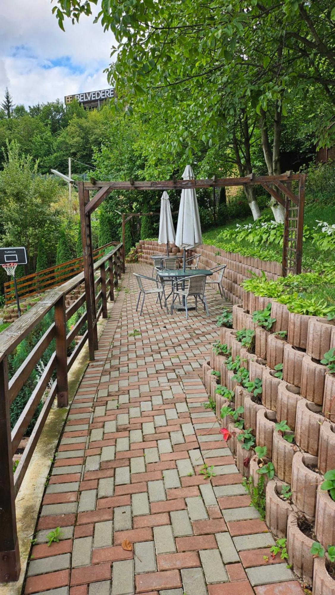 Matei Residence Brasov Luaran gambar